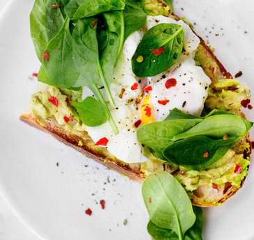 Exploring our approach to food